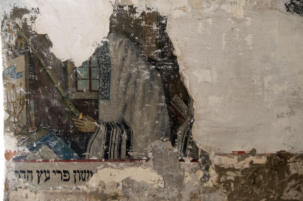 Chernivtsi (Czernowitz) - murals in the Groisse Shil