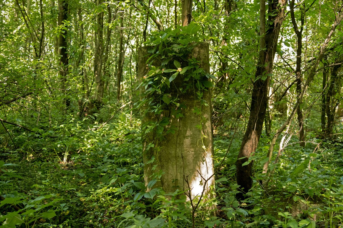 Sniatyn Jewish cemetery