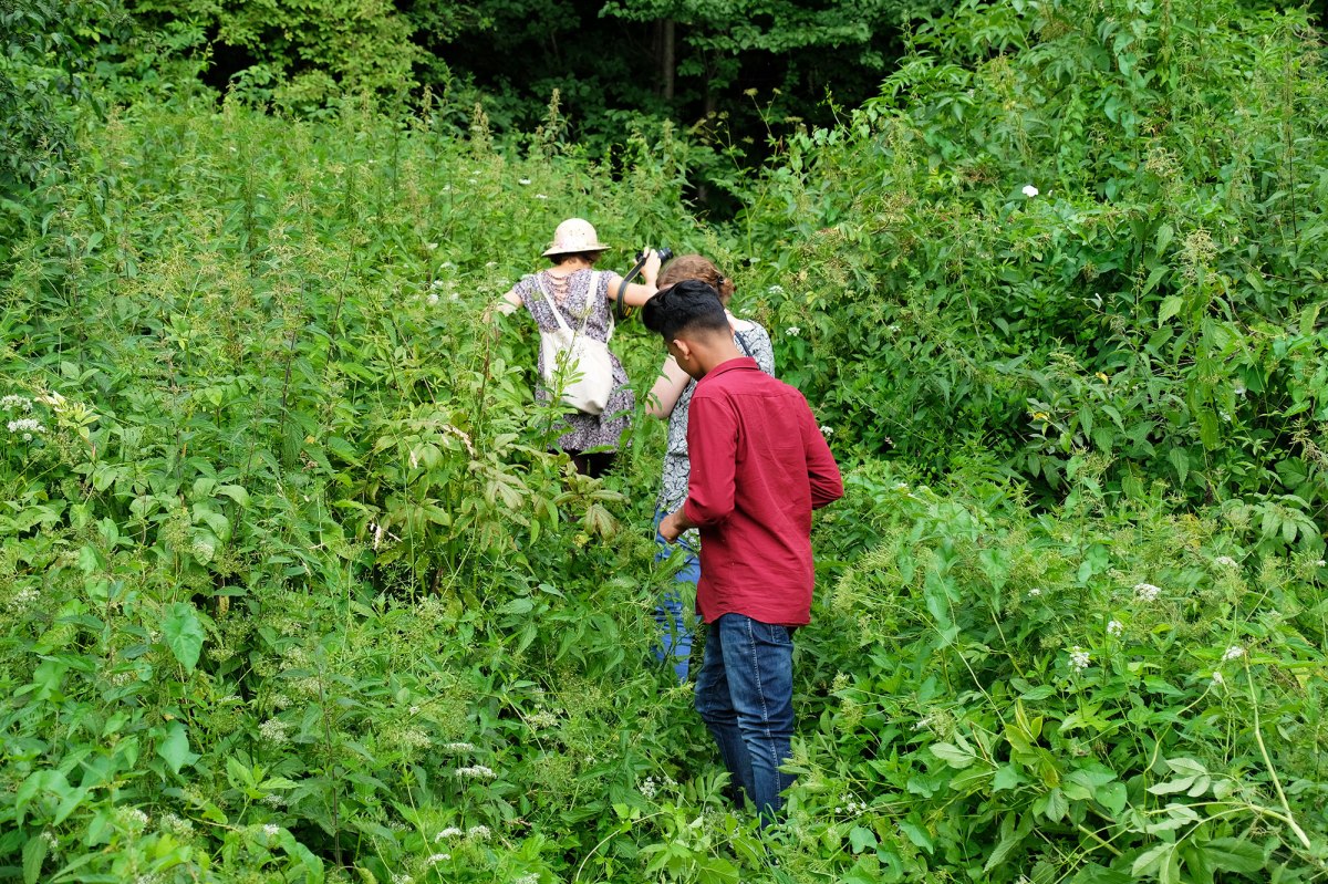In the jungle of Kosiv Jewish cemetery
