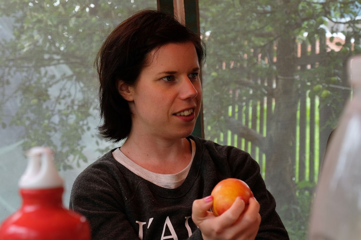 Pick-nick in Sheshory