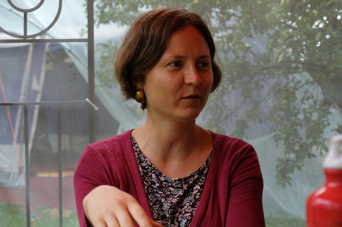 Pick-nick in Sheshory