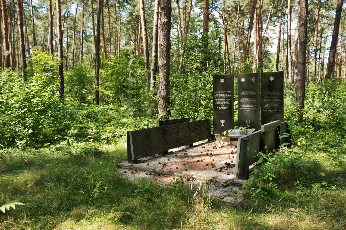 Mass grave site between Zolochiv and Sasiv