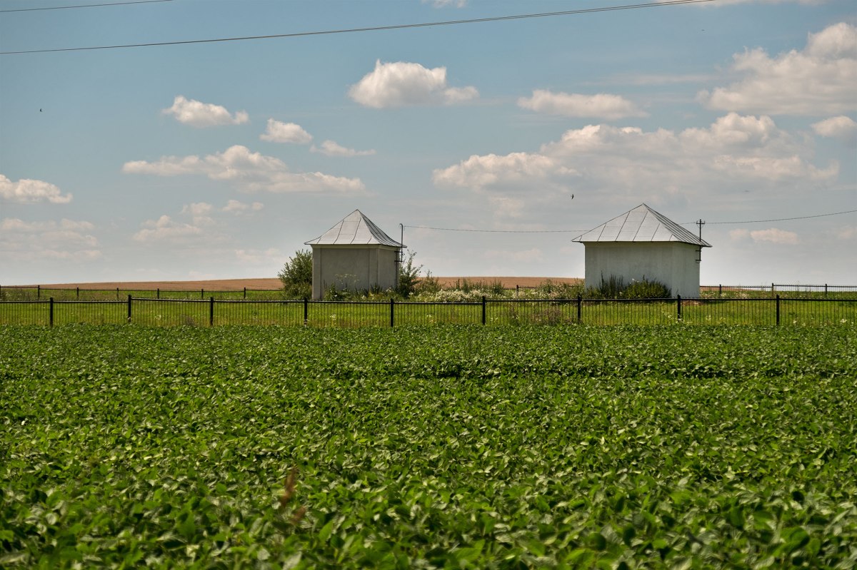 Sasiv Jewish cemetery