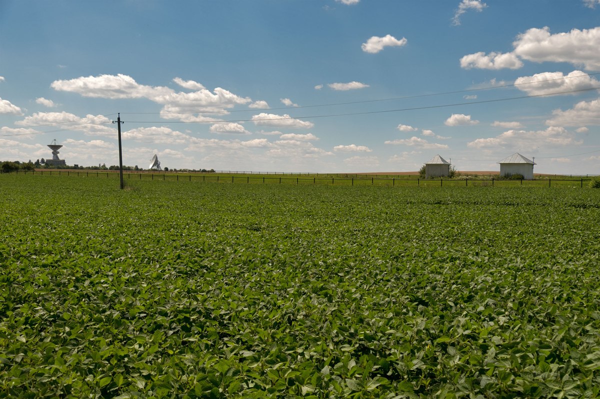 Sasiv Jewish cemetery