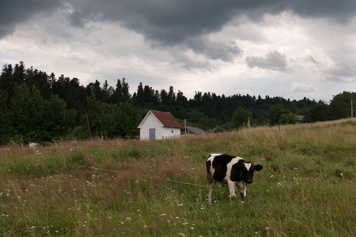 Dolyna Jewish cemetery