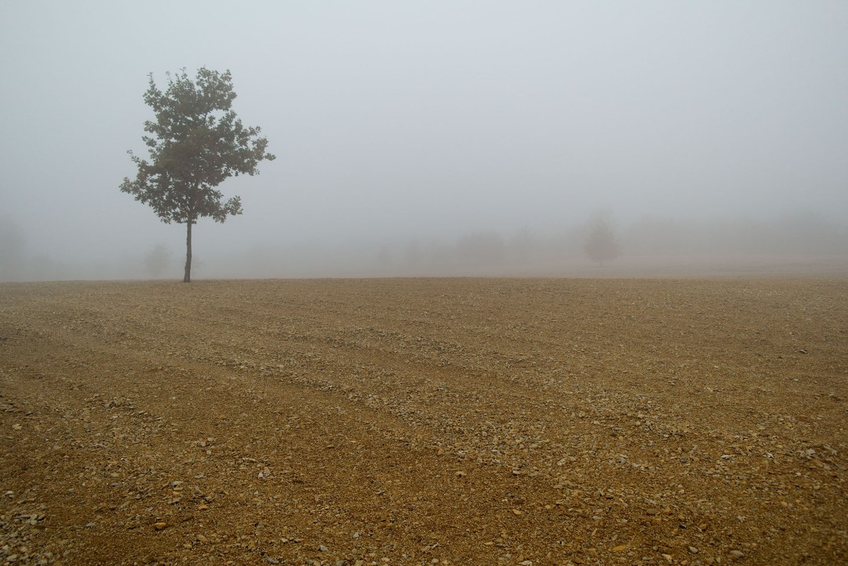 Płaszów concentration camp site, Poland