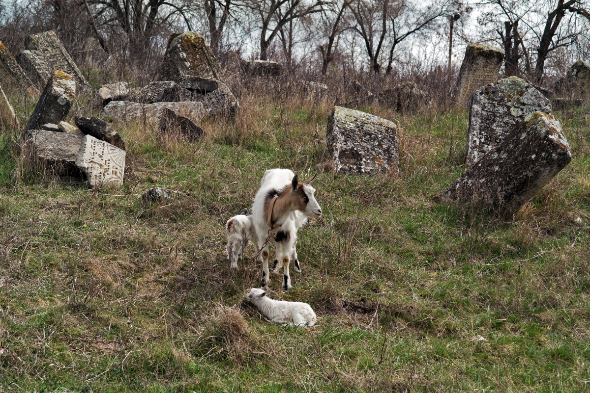 Orhei Jewish cemetery, Moldova