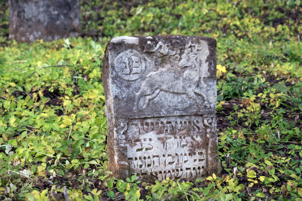 Staryi Sambir - Jewish cemetery