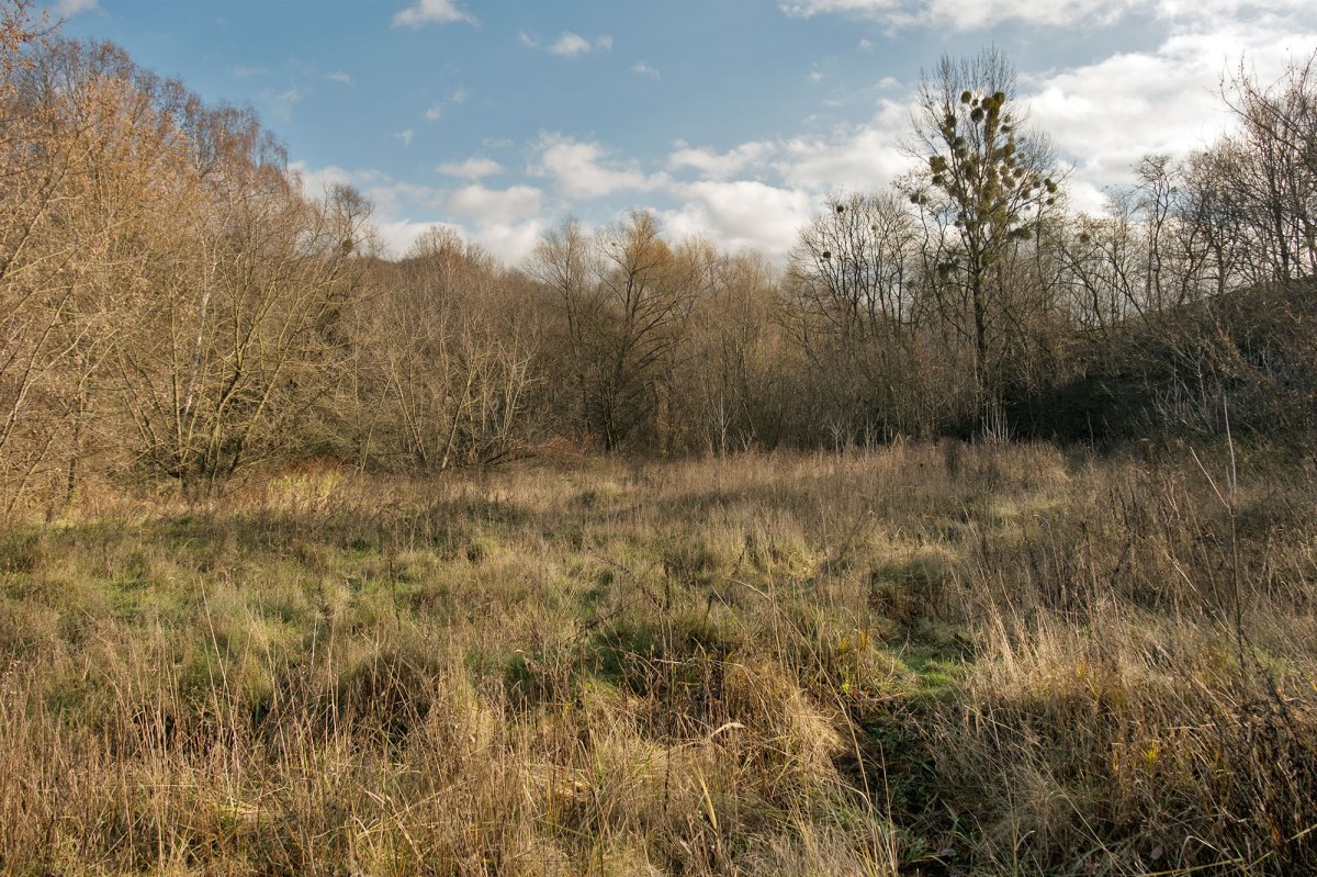 Janowska concentration camp site