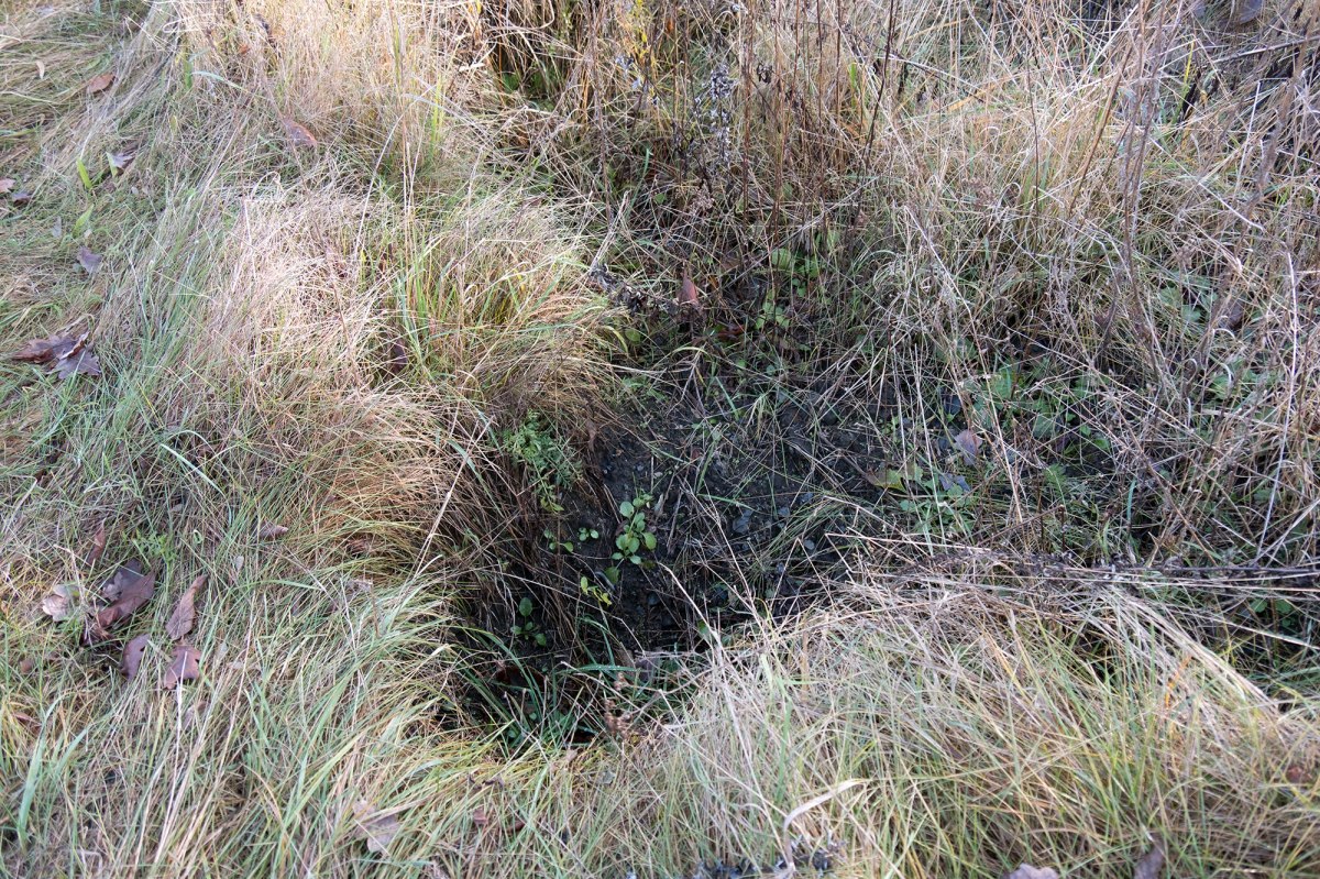 Janowska concentration camp site