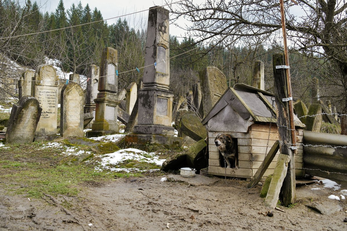 Gura Humorului, Bukovina in Romania - Jewish cemetery