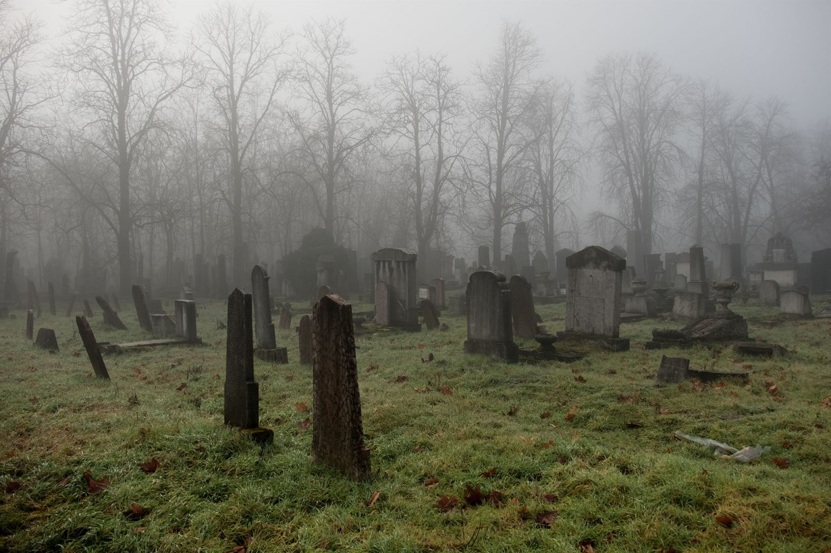Jewish cemetery at Kozma Street