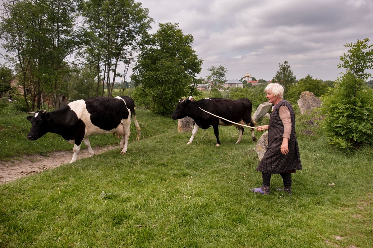 Busk - Jewish cemetery