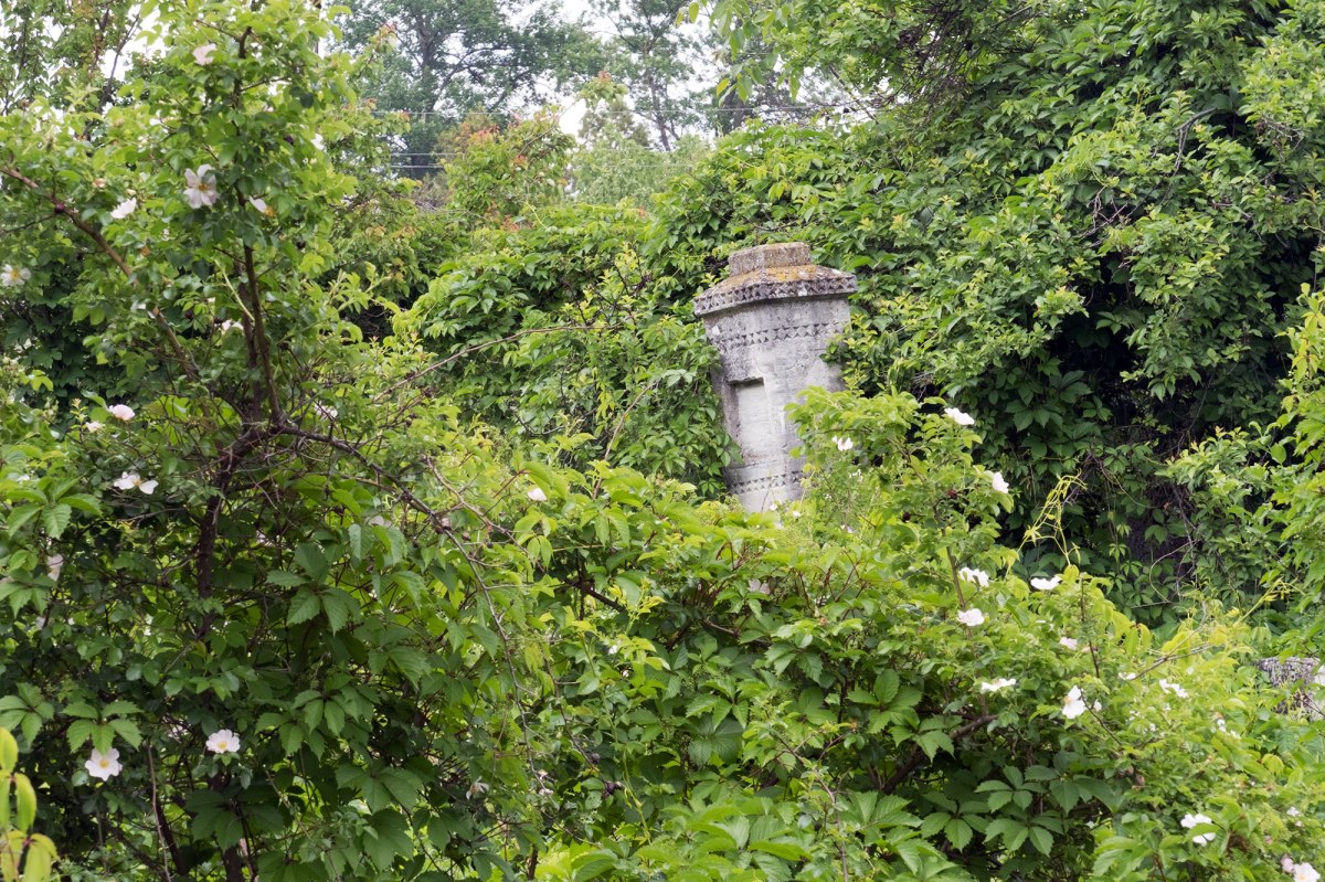 Lipcani Jewish cemetery