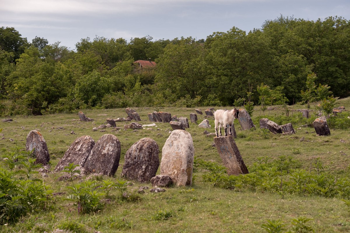 Vadul Raşcov - Jewish cemetery
