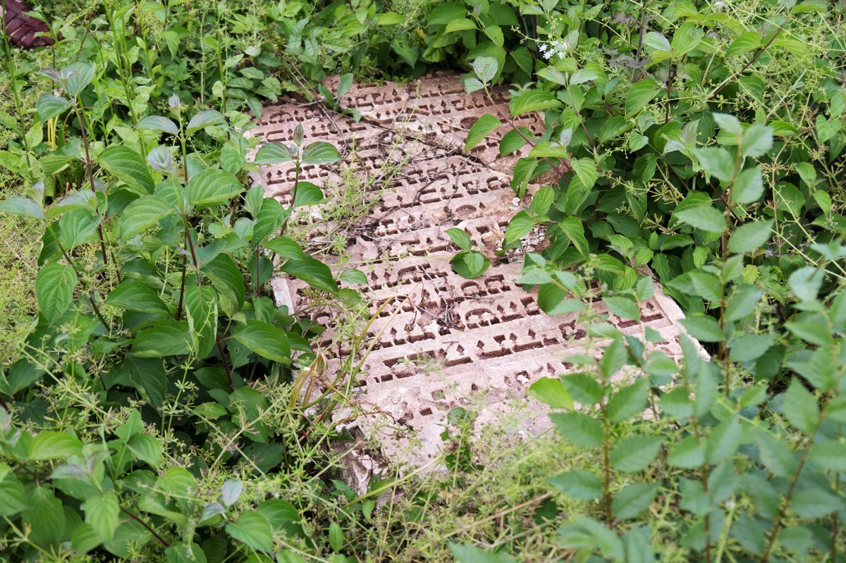 Buchach - Jewish cemetery