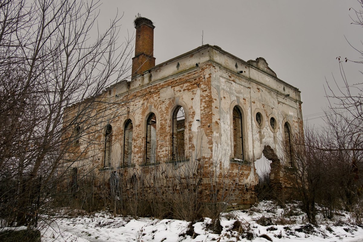 Probizhna synagogue