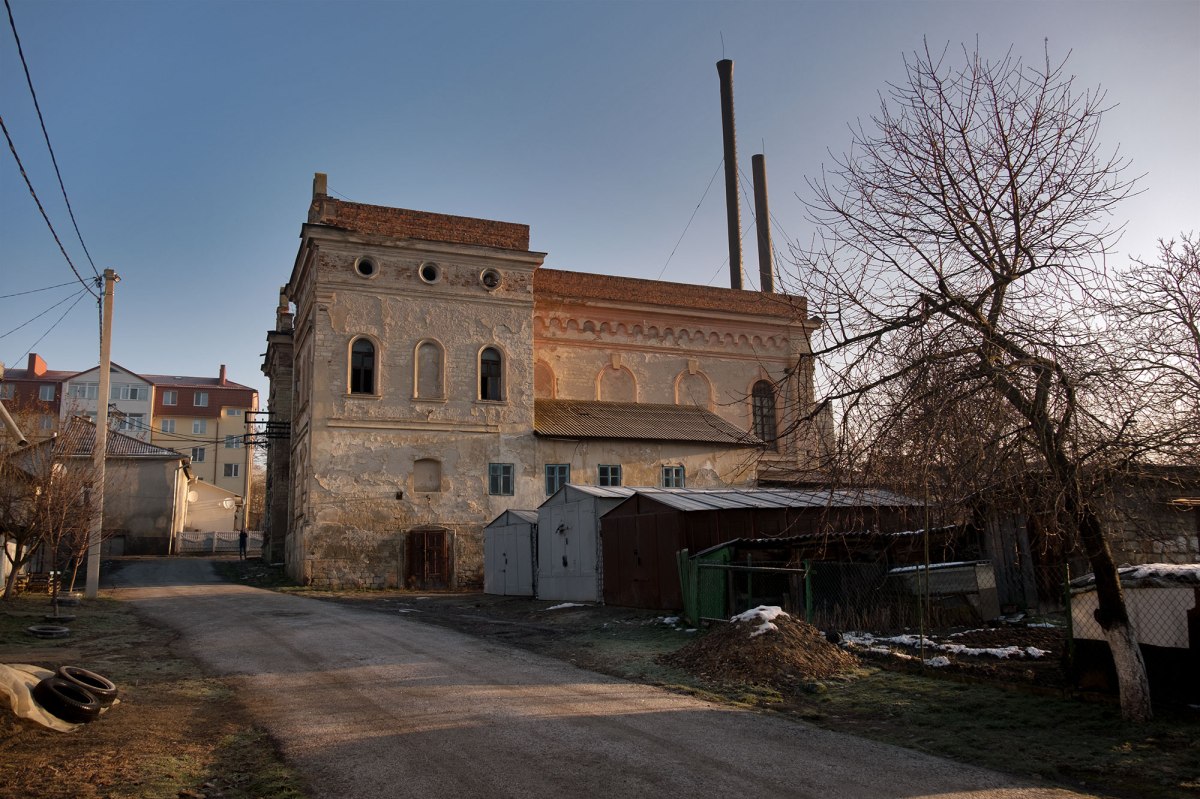 Zalishchyky - Great Synagogue