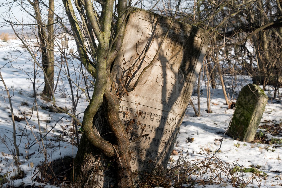 Korolivka - Jewish cemetery