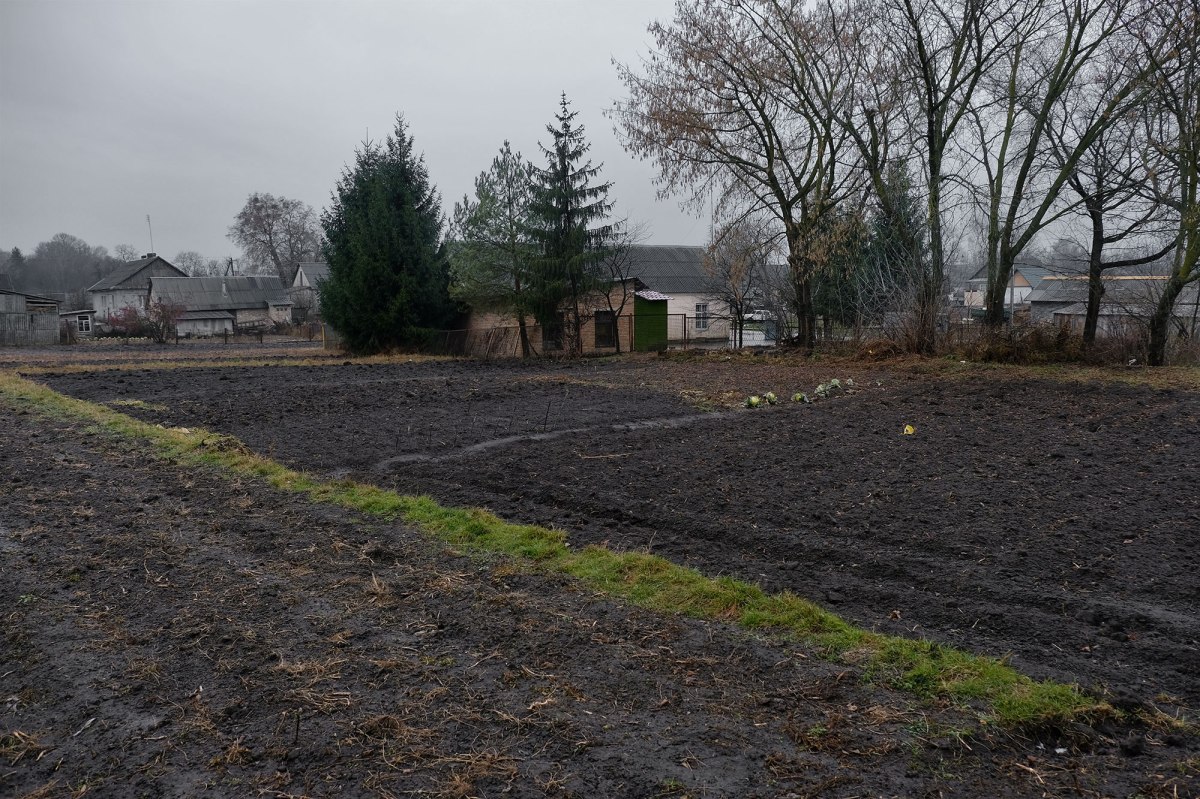Berestechko - territory of the destroyed Jewish cemetery