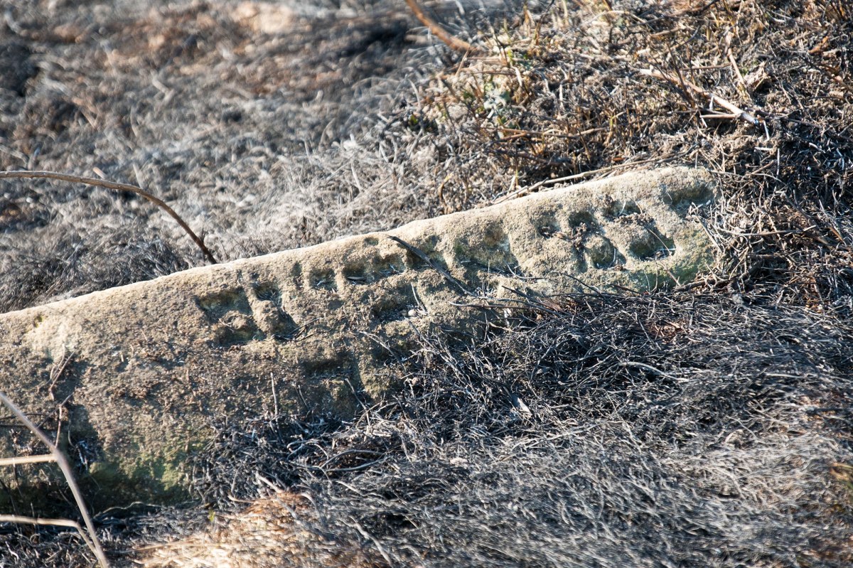 Bălţi Jewish cemetery