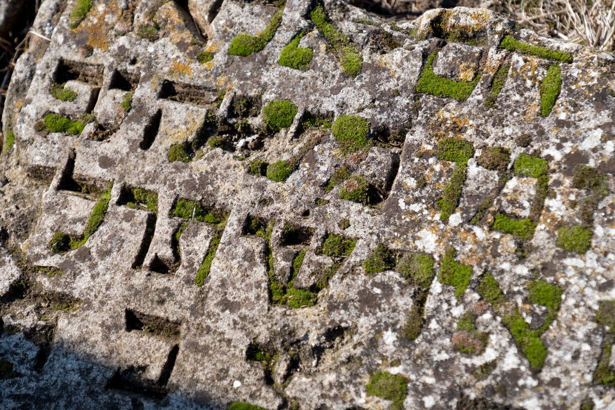 Alexandreni Jewish cemetery