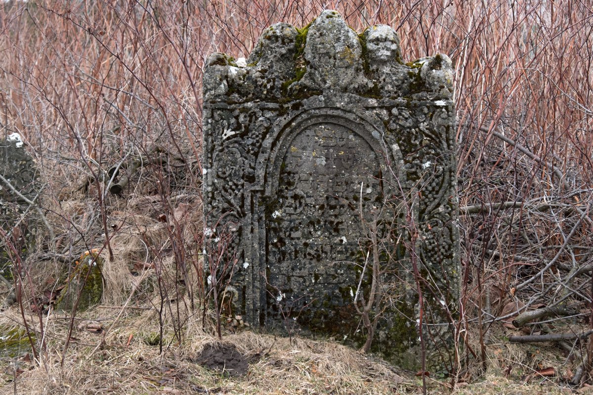 Vyshnivets - Old Jewish Cemetery