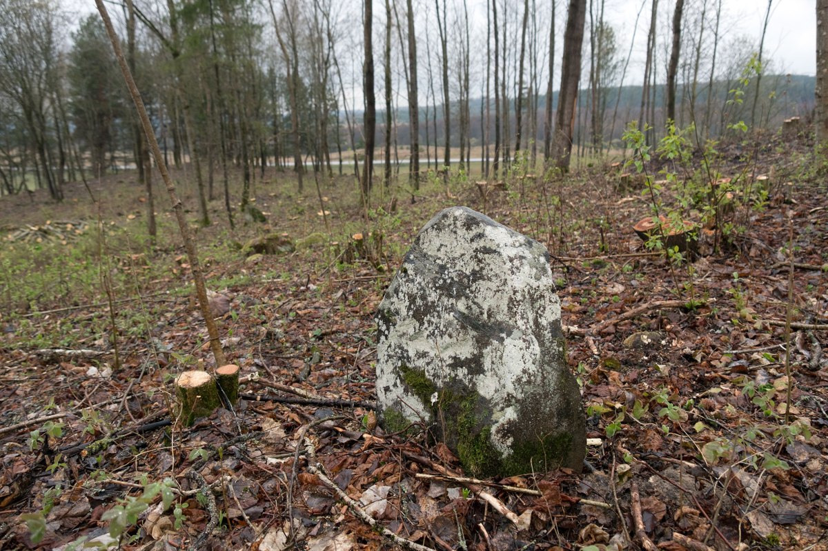 Halshany Jewish cemetery
