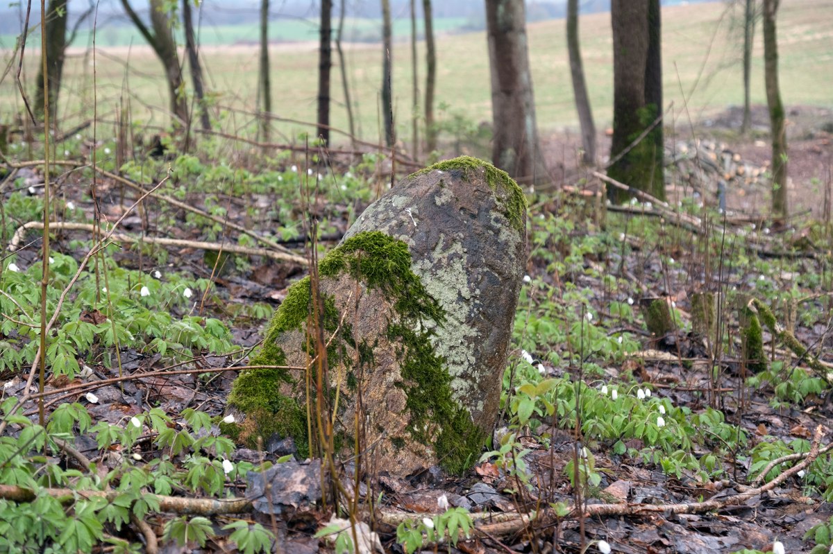 Halshany Jewish cemetery