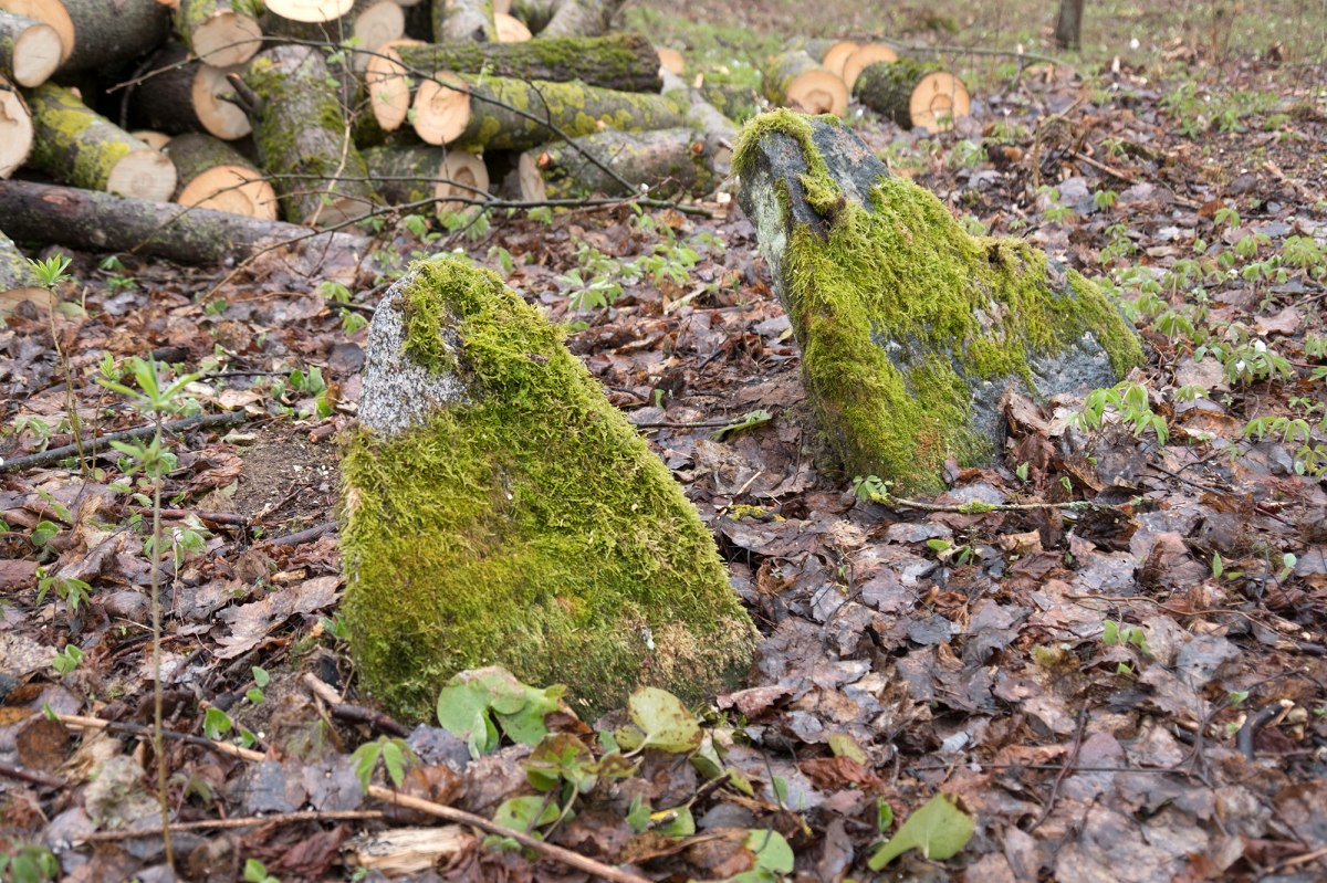 Halshany Jewish cemetery