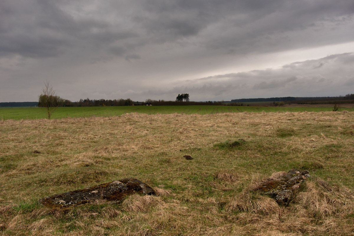 Delyatichi Jewish cemetery