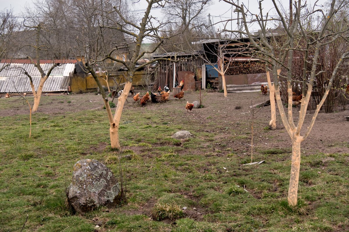 Razhanka - Jewish cemetery