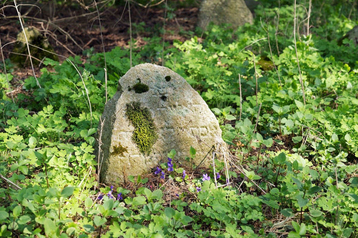 Zhaludok Jewish cemetery