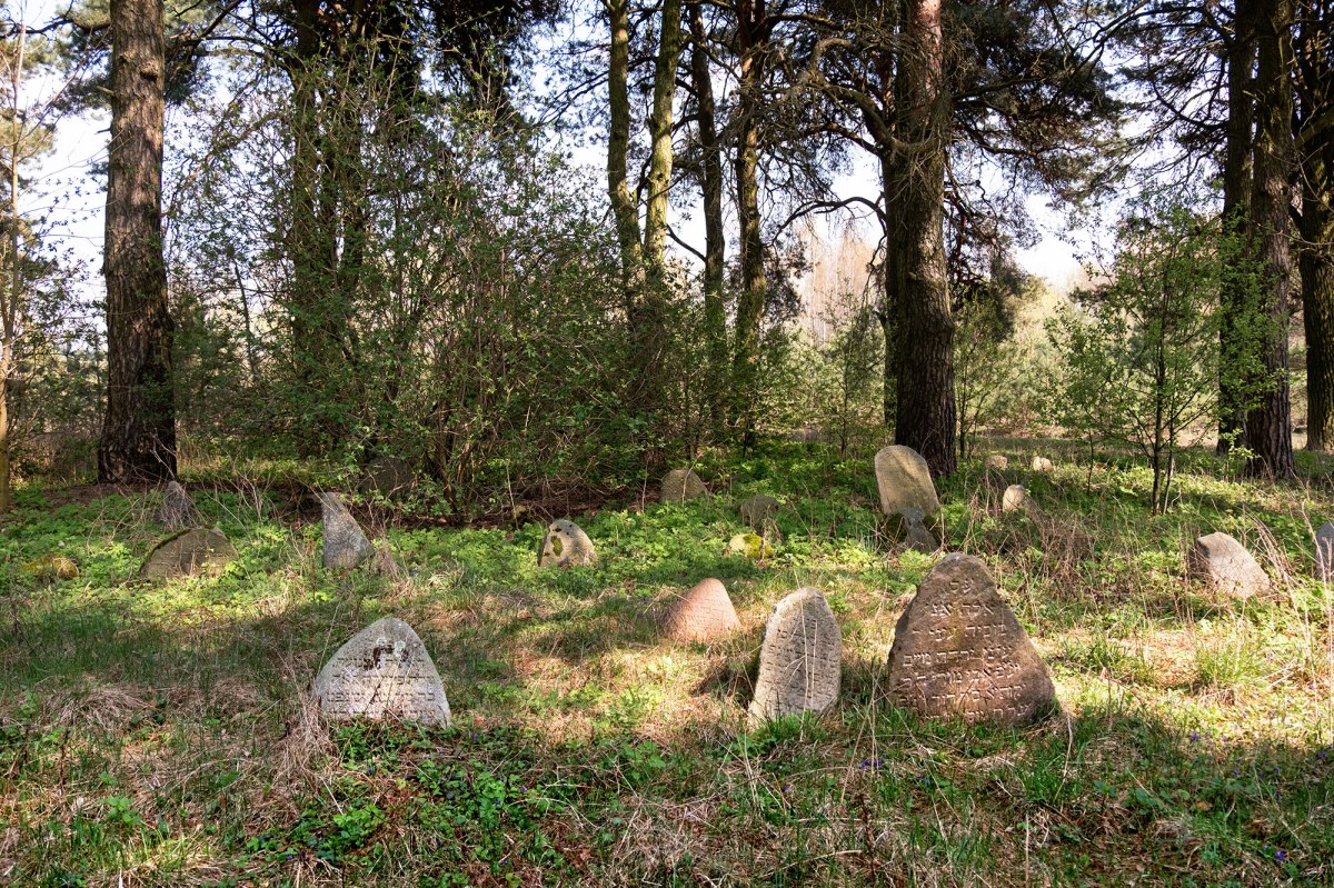 Zhaludok Jewish cemetery