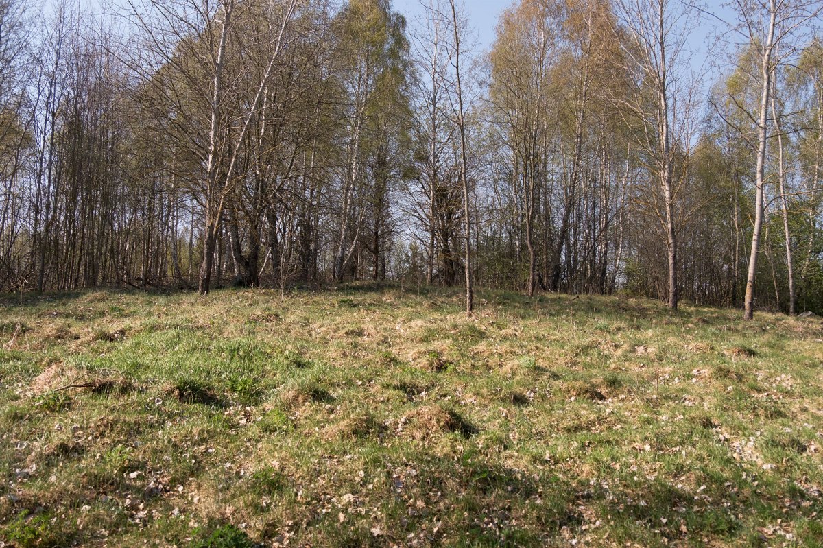 Porazova Jewish cemetery