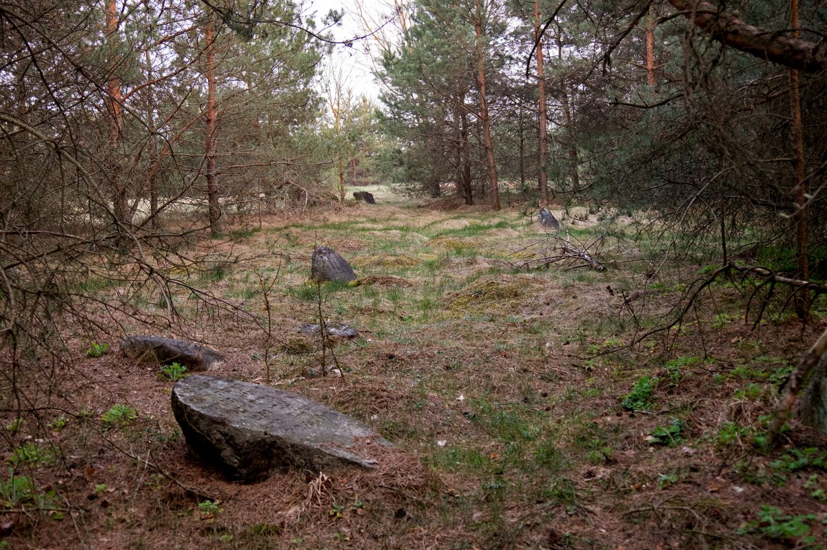 Ruzhany Jewish cemetery
