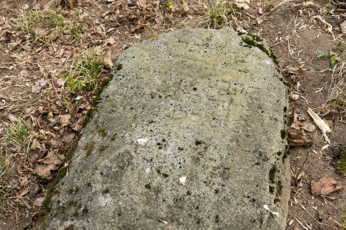 Novaya-Mysh - Jewish cemetery