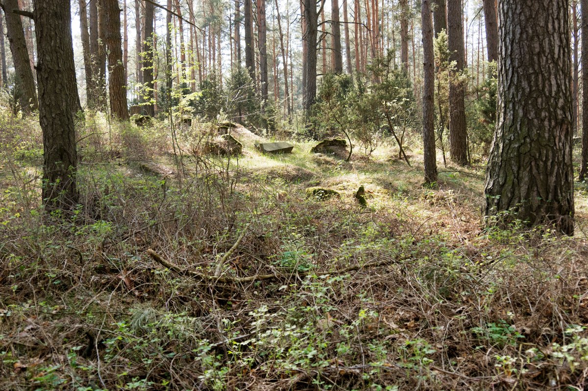 Novy Sverzhan - Jewish cemetery