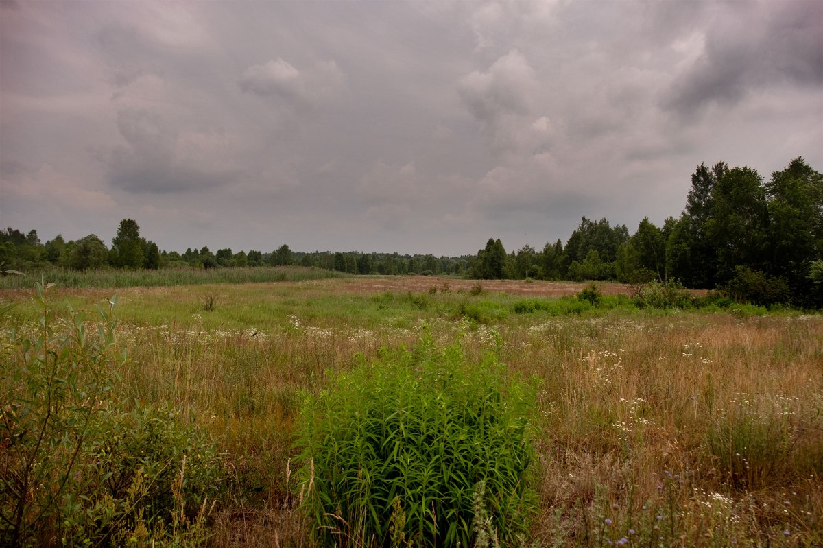 Trochenbrod - view in the direction of one of the destroyed cemeteries