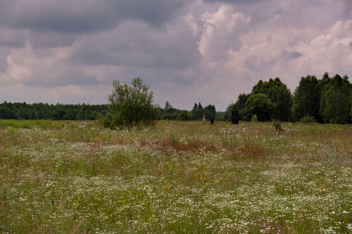 Trochenbrod - view in the direction of one of the destroyed cemeteries