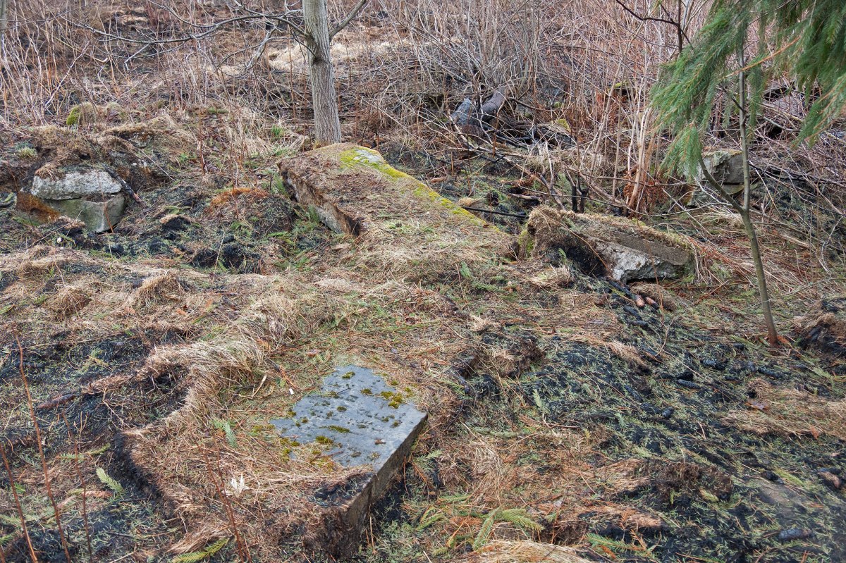 Skole - Jewish cemetery
