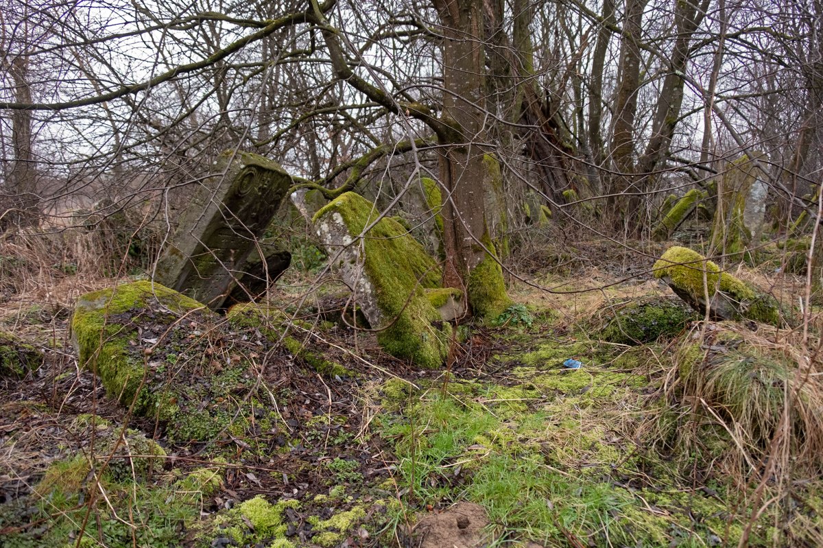 Rozhniativ - Jewish cemetery