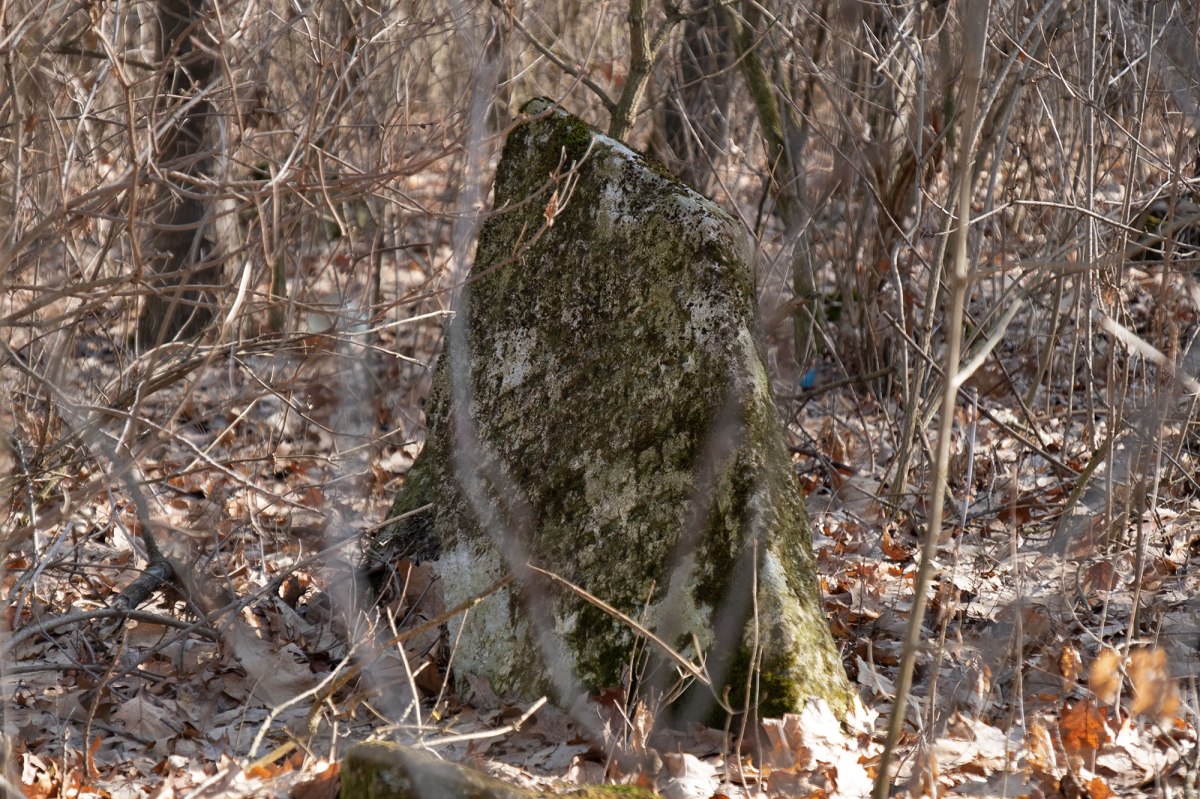 Horodenka - old Jewish cemetery
