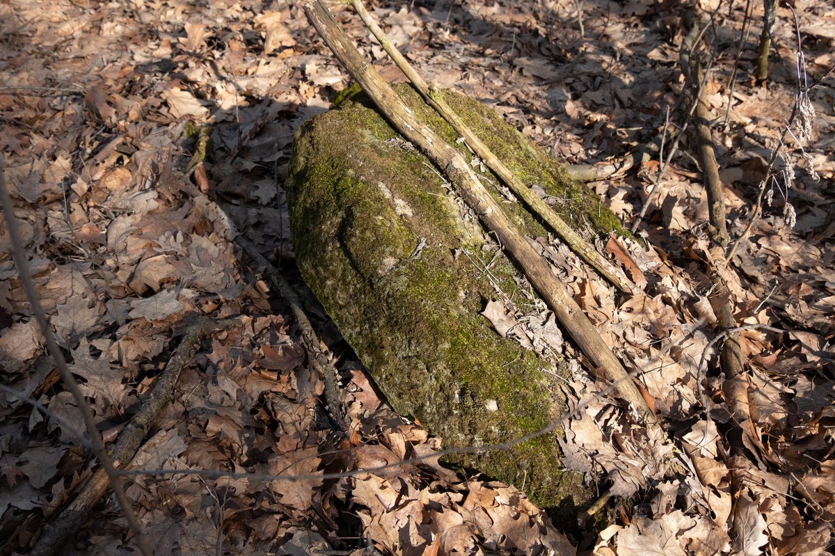 Horodenka - old Jewish cemetery