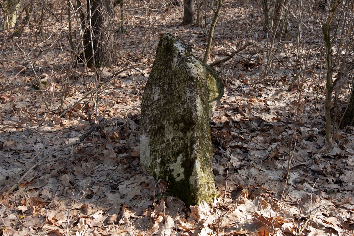 Horodenka - old Jewish cemetery