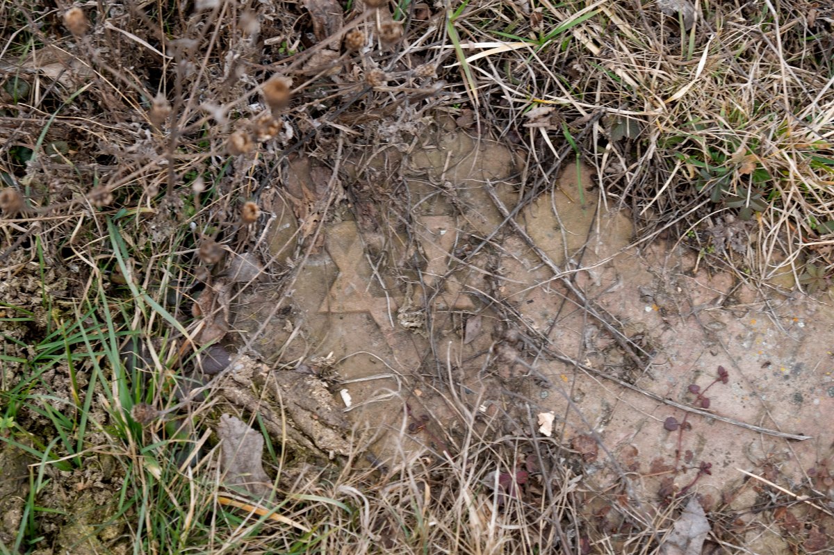 Chernelytsia - Jewish cemetery