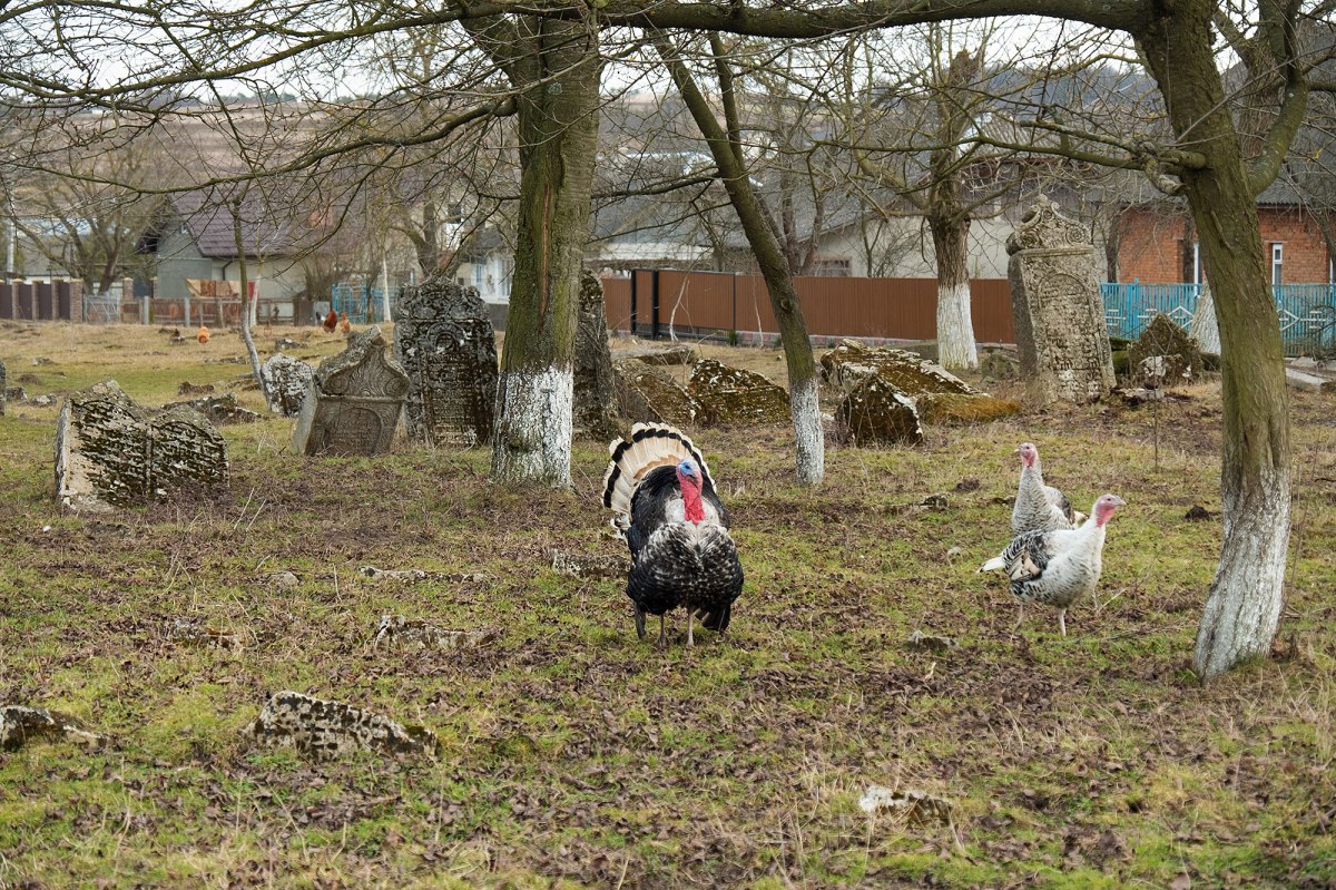 Zolotyi-Potik - Jewish cemetery