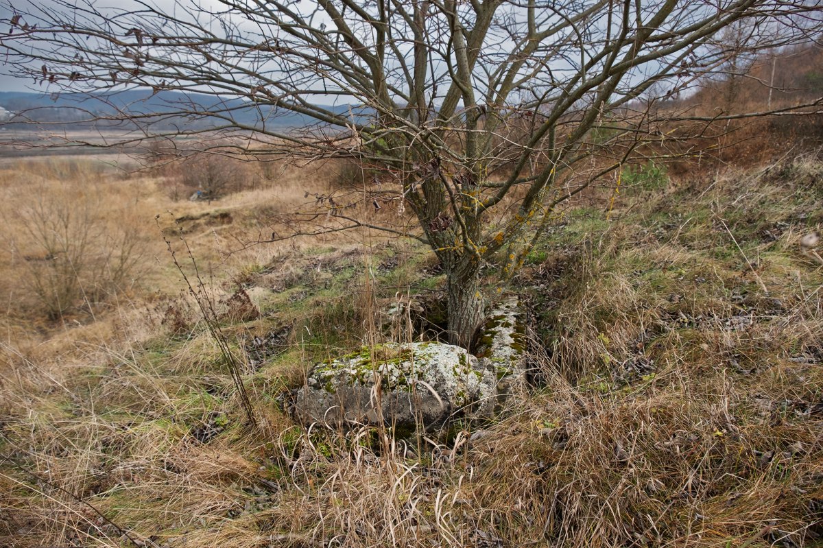 Pomoriany - destroyed Jewish cemetery