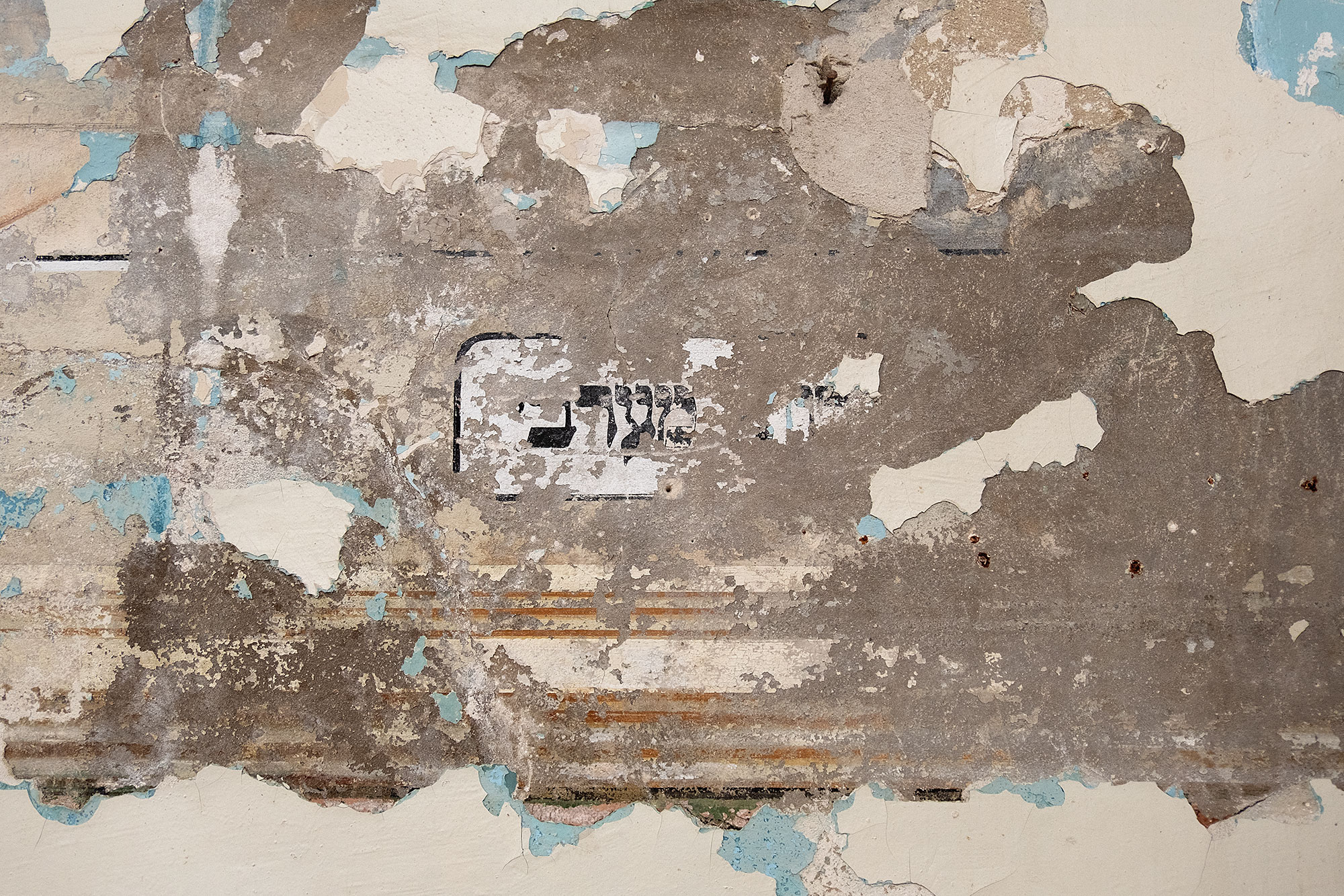 Lviv - Mural in the Jakub Glanzer Shul