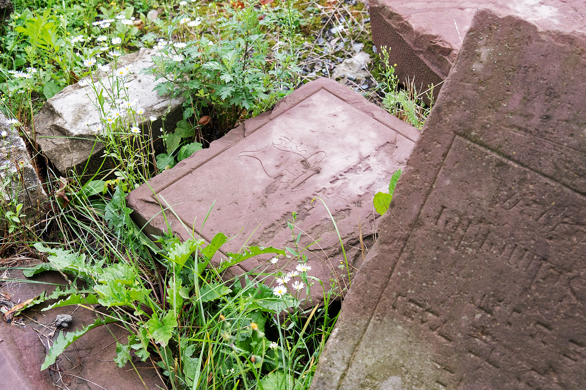 Lviv - Tombstone fragments at the Jewish cemetery